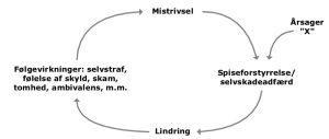 Den onde cirkel illustrerer afhængighedsforholdet.