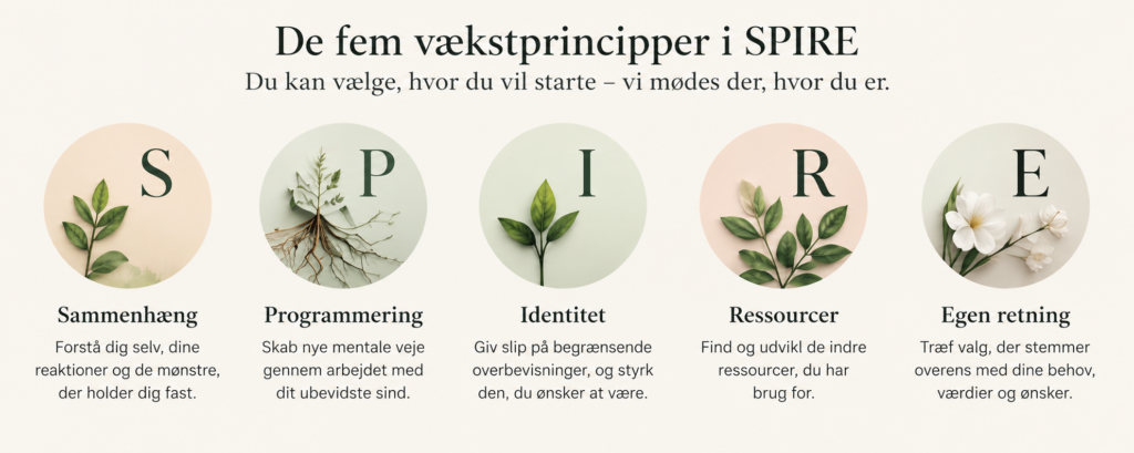 De fem vækstprincipper i SPIRE